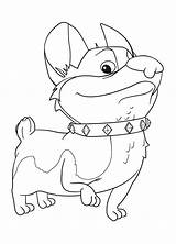Corgi Coloring Pages sketch template