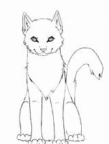 Warrior Firestar Cats Pages Coloring Template sketch template