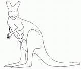 Colorat Cangur Desene Planse Kangaroo Desen Creion Salbatice Martisor Educative Canguri Cangurul sketch template