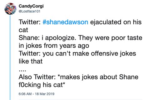 Shane Dawson Cat Joke