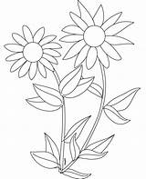 Sonnenblume Sunflowers Ausmalbilder Ausmalbild Coloringtop Letzte Preschooler sketch template