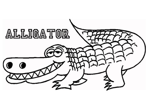 alligator outline drawing  getdrawings