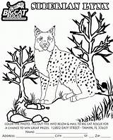Lynx Coloring Pages Kids Siberian Canada Coloringbay Popular Getcolorings Library Animals Coloringhome Insertion Codes sketch template