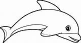 Dolphin Dolphins Wecoloringpage Raskrasil sketch template