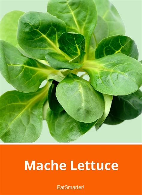 mache lettuce eat smarter usa