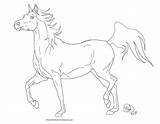 Arabian Horse Deviantart Line Coloring Pages Drawings Drawing Horses Realistic Do Visit sketch template