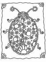 Coloring Ladybug Zentangle sketch template