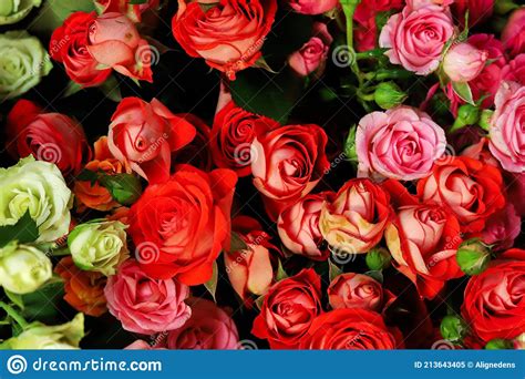 Red And Pink Rose Flowers In Bouquet Closeup Stock Image Image Of