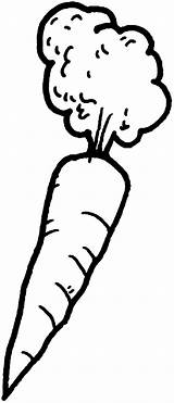 Carrot Coloring Pages Afro Hair Colouring Carrots Mr Color Template sketch template