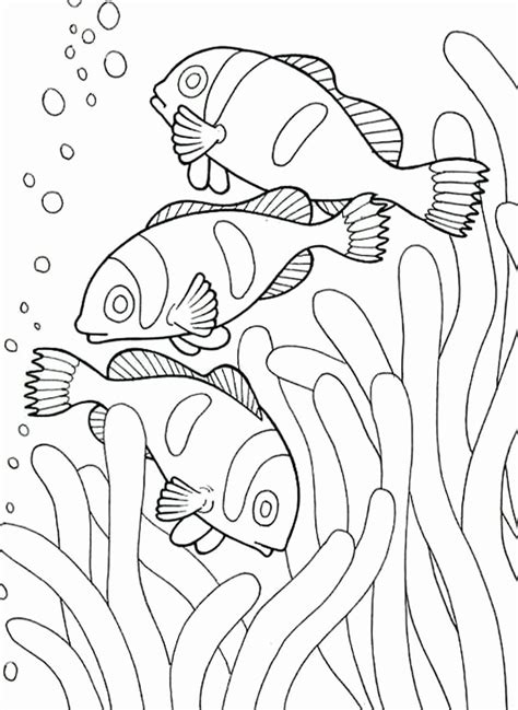 underwater animals coloring pages coloring pages
