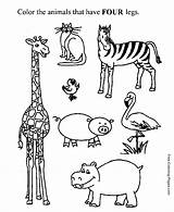 Legs Preschool Activity Four Worksheets Coloring Child Pages Worksheet Printable Activities Kids Animals Number Animal Color Kid Legged Print Sheets sketch template