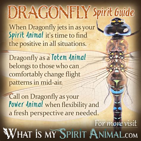 dragonfly symbolism meaning spirit totem power animal