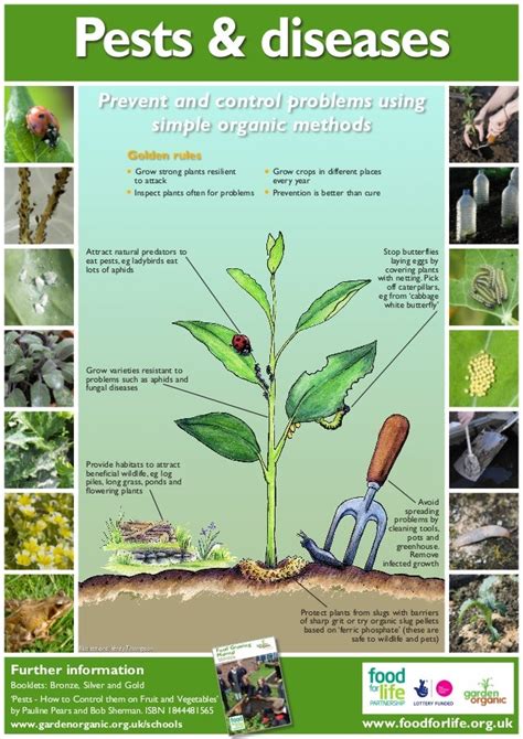 Pest And Plant Disease ~ Teacher Guide Organic Gardening ~ United Ki