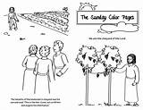 Sunday Ordinary Time 27th Coloring Pages sketch template
