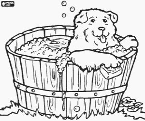 puppy  small dog   bath coloring page printable game