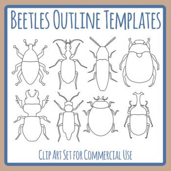 beetle outlines templates bugs  insects simple lines clip art