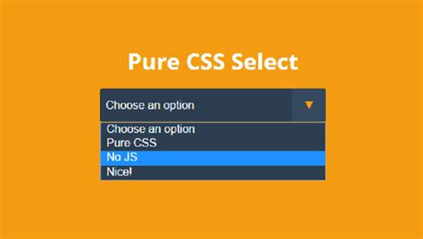 css select boxes   html design