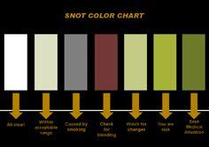 snot colour chart this is very scientific rn pinterest the