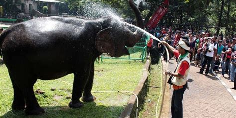 wisata solo destinasi tempat  surakarta  bikin rindu