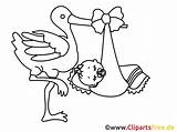 Storch Ausmalbilder Ausmalen Ausdrucken Vorlage Stork Geburt Vorlagen Malvorlagen Cigogne Klapperstorch Schablone Coloriage Vogelhochzeit Bewundernswert Kostenlos Ausmalbild Malvorlagenkostenlos Kinderbilder Bébé sketch template