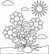 Plants Coloring Template Sunlight Need Pages Flowers sketch template