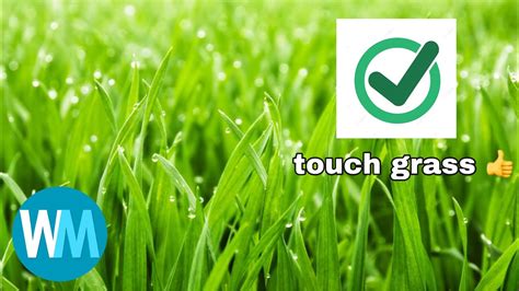 top  reasons  touch grass youtube