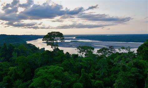 napo river journey  amazonia  maritime explorer