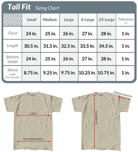 Discover The Best Heavy T Shirts Extra Long T Shirts For Tall Men