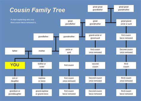 Cousin Chart Explained With Examples Edrawmax Online