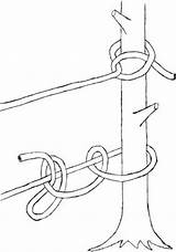 Hitch Half Knot Tie Knots Trailmeister Cinch Power Quick Release Pictured Useful Basic Examples Double Left sketch template