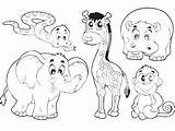 Safari Coloring Animals Pages Baby Getcolorings Color sketch template