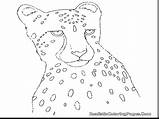 Realistic Book Drawing Getdrawings Cheetah sketch template