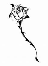 Rose Thorns Thorn Tattoo Drawing Vine Tattoos Drawings Realistic Small Every Its Has Vines Getdrawings Clipartmag Choose Board sketch template