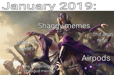 the best shaggy memes memedroid