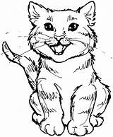 Coloring Cat Pages Tabby Realistic Cute Cartoon Kitty Wild Printable Color Drawing Cats Real Print Roaring Scary Meal Colouring Kids sketch template