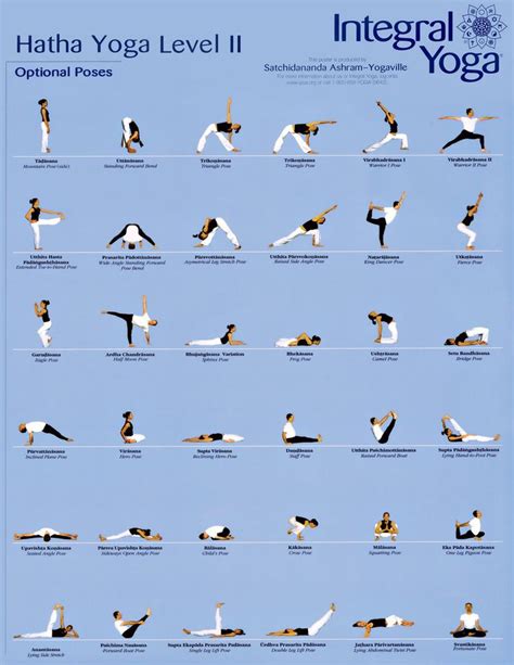 yoga class hatha yoga poses yoga moves  beginners basic yoga
