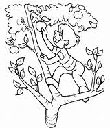 Picking Coloring Apple Pages Tree Clipart Child Colouring Cliparts Printable Climbing Clip Kids Color Preschoolers Library Getcolorings Choose Board sketch template