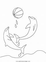 Delphine Ausmalen Delfine Tiere sketch template