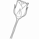Rose Drawing Roses Stem Draw Valentines Long Step Tutorial Drawings Valentine Easy Flowers Drawinghowtodraw But Tutorials Kids Finished Complicated Simple sketch template