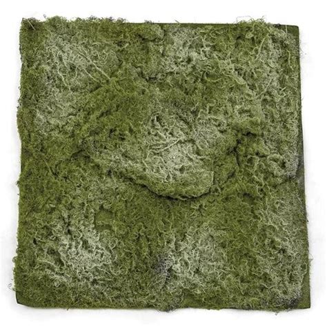 Earthflora Wall And Floor Grass Mats Grasses Bark Rock