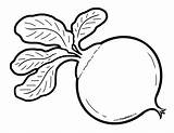 Outline Beets Drawing Foodhero Choose Board Illustrations Find sketch template