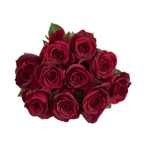 classic red speciality roses woolworthscoza