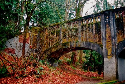 washington park arboretum