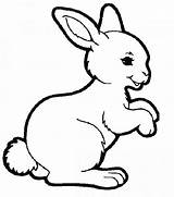 Rabbit Coloring Color Kids Pages Children Print Beautiful Animals sketch template