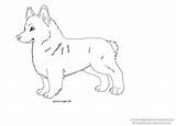 Corgi Coloring Pages Dog Print Color Template sketch template