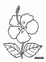 Bunga Raya sketch template