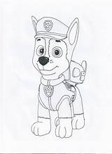 Patrol Paw Spy Nickelodeon Draw Coloringhome Skye Drawingnow Everest Zuma sketch template