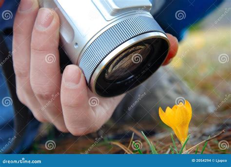 person  pictures stock images image