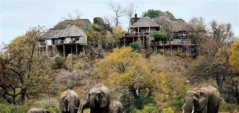 leopard hills private game reserve mpumalanga review  hotel guru