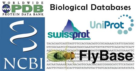 biological databases types  importance